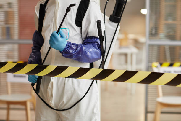 Professional Sewage Cleanup technician working in Preston, IA
